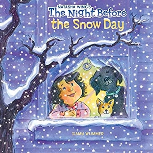 Pre-Owned The Night Before the Snow Day (Paperback) 0399539425 9780399539428