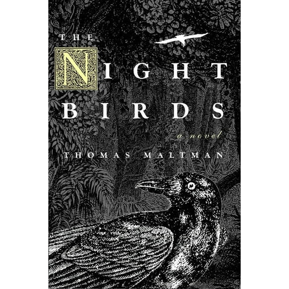 The Night Birds (Paperback)