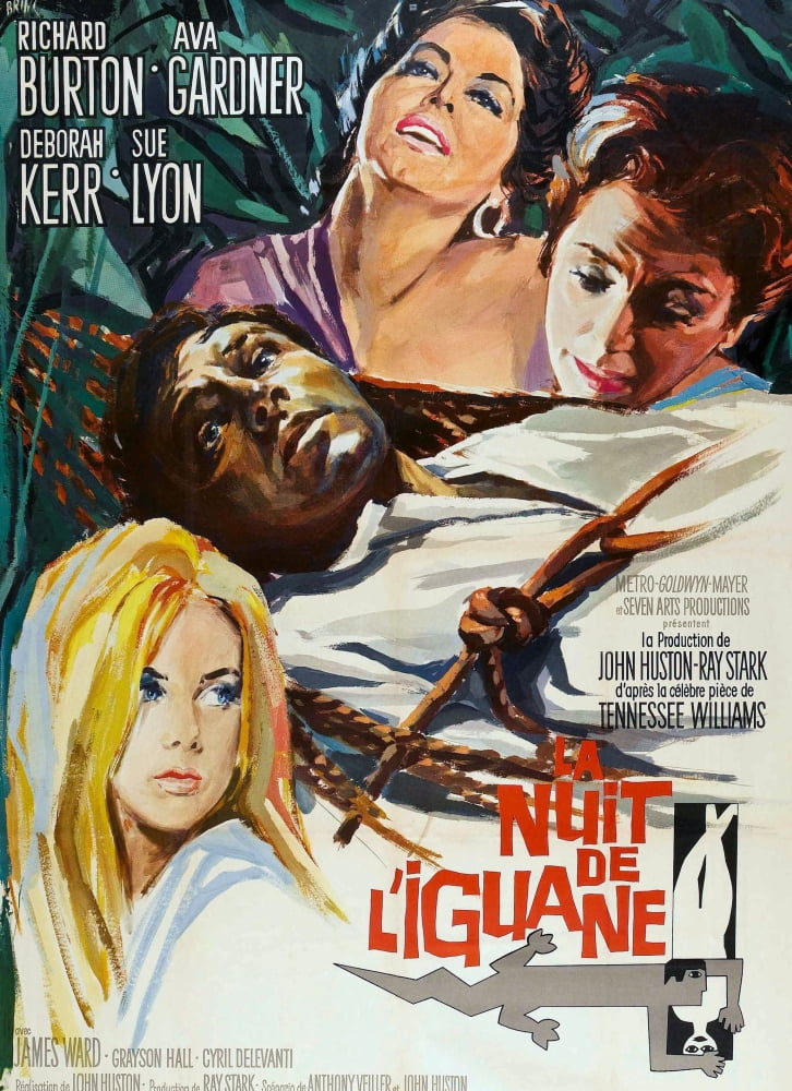 The Night Of The Iguana Canvas Art - (11 x 17)