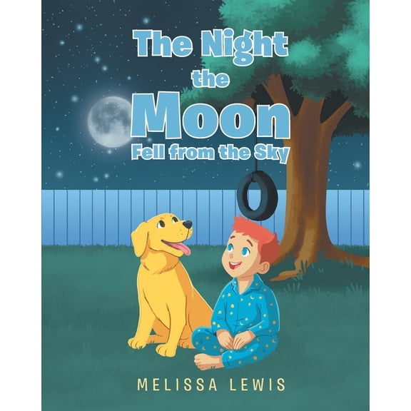 The Night the Moon Fell from the Sky, (Paperback)