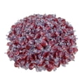 thumbnail image 1 of The Nile Sweets Cinnamon Hard Candy Individually Wrapped Sugar Free Bulk 16 OZ, 1 of 8