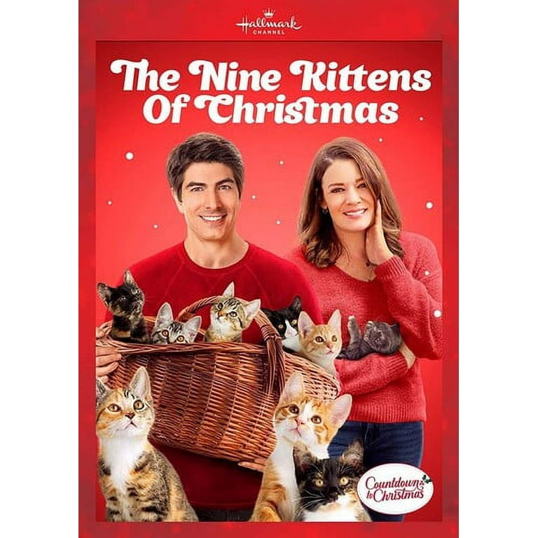 Merry 2025 christmas kittens