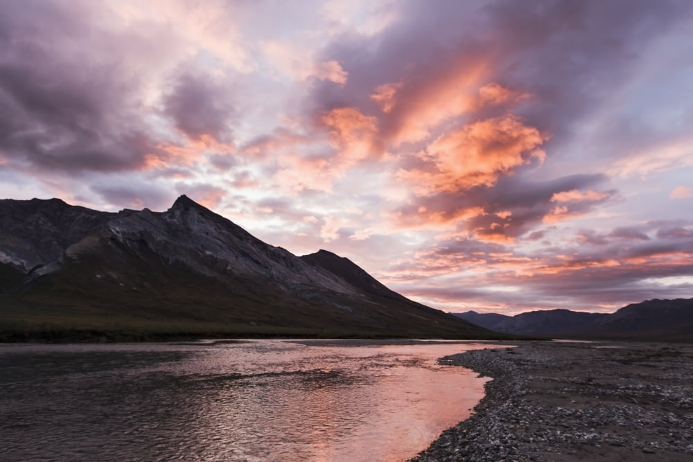 The Noatak River At Sunset Brooks Range Arctic Alaska Summer Canvas Art - Scott Dickerson Design Pics (38 x 24)