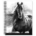 thumbnail image 1 of The Noble Horse | 2026 6x7.75" Spiral-Bound Engagement Planner | BrownTrout, 1 of 9