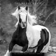 thumbnail image 1 of The Noble Horse | 2027 12x24" (Hanging) Wall Calendar | Plastic-Free, 1 of 9