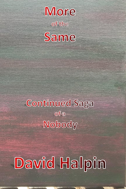 The Nobody Saga More of the Same: Continued Saga of a Nobody, Book 2, (Paperback)