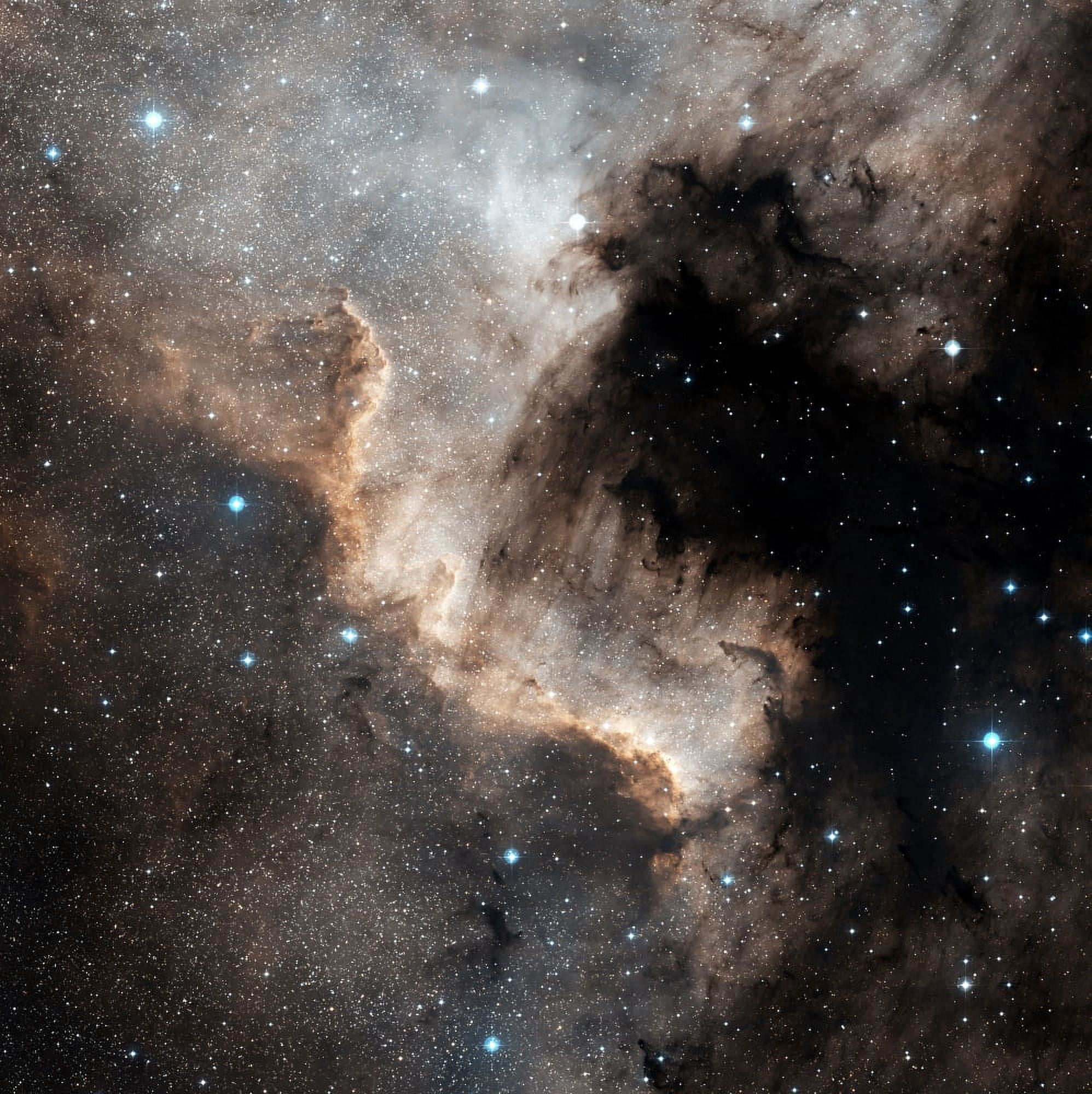 The North America Nebula Canvas Art - Charles ShaharStocktrek Images (28 x 28)