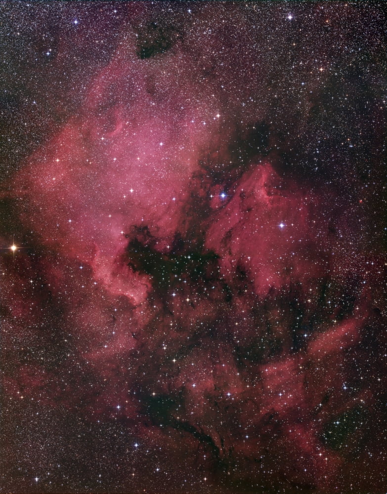The North America Nebula Canvas Art - Robert GendlerStocktrek Images (25 x 31)