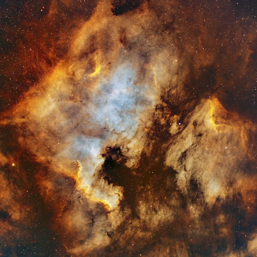 The North America Nebula and Pelican Nebula in Cygnus Canvas Art - Rolf GeissingerStocktrek Images (29 x 29)