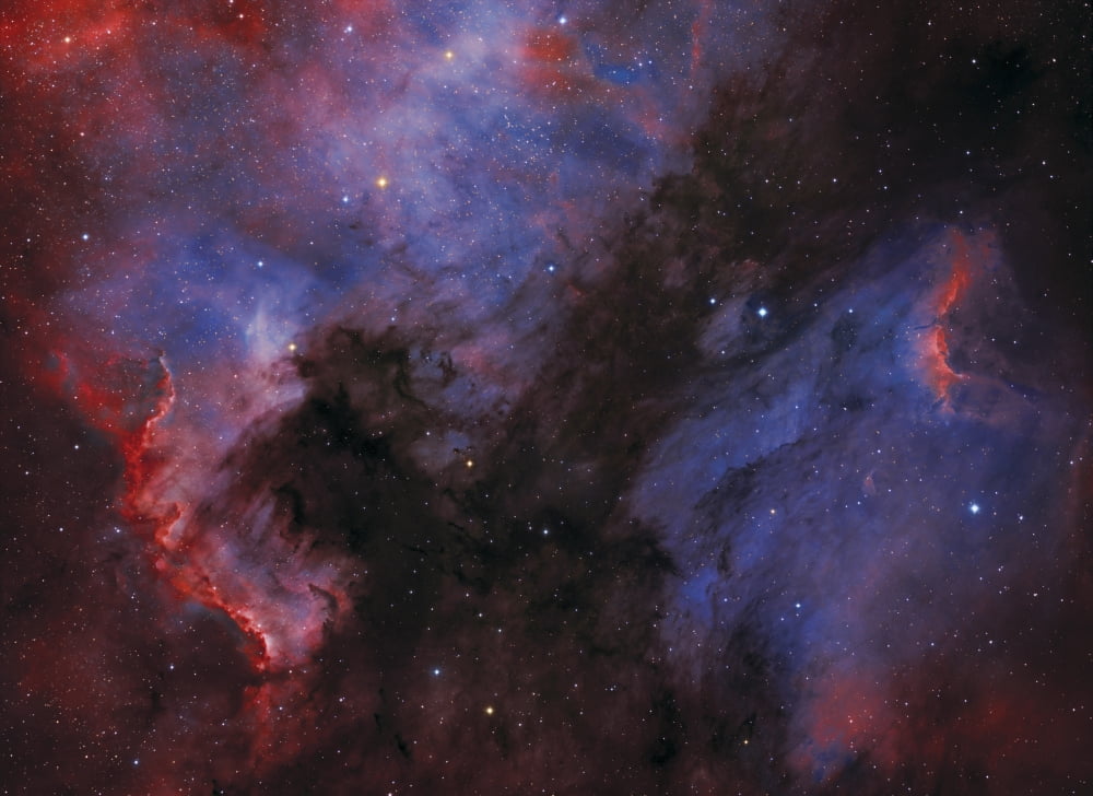 The North America Nebula and Pelican Nebula in the constellation Cygnus Canvas Art - Lorand FenyesStocktrek Images (17 x 12)