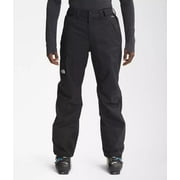 The North Face Mens Freedom Insulated Pants