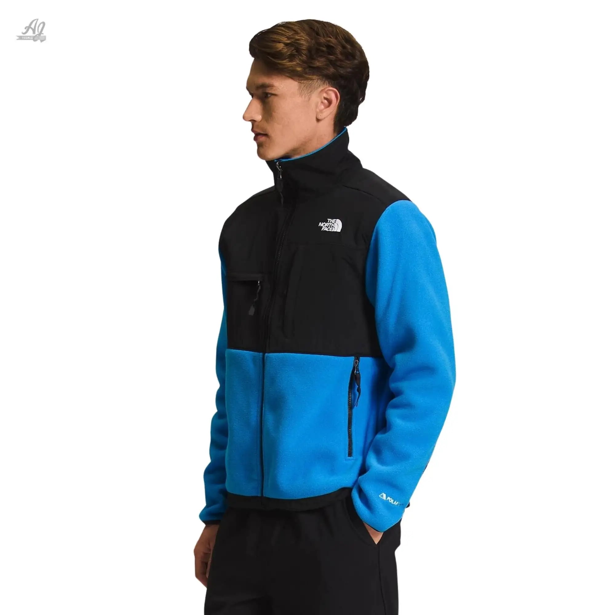 North face caroleena jacket hot sale