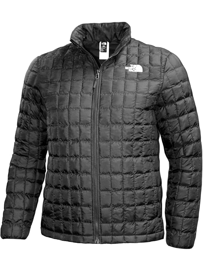 The North Face Men display picture 1