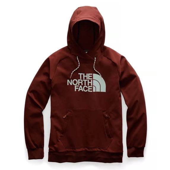 The North Face Tekno Logo Hoodie - Men's