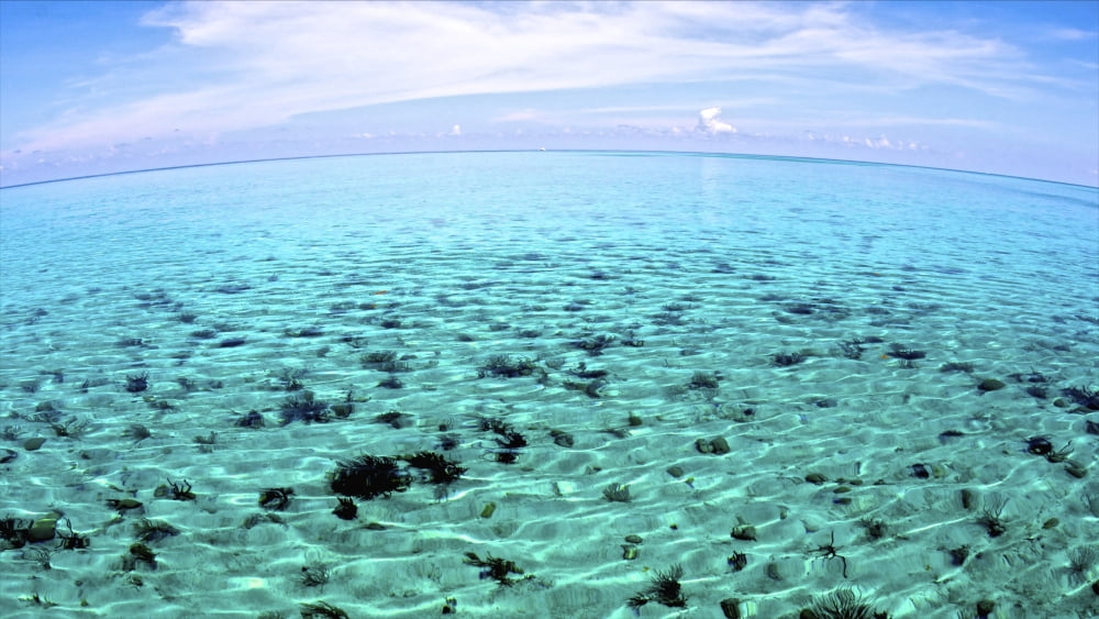 The North Sound on a flat calm morning Grand Cayman Canvas Art - Amanda NichollsStocktrek Images (37 x 21)