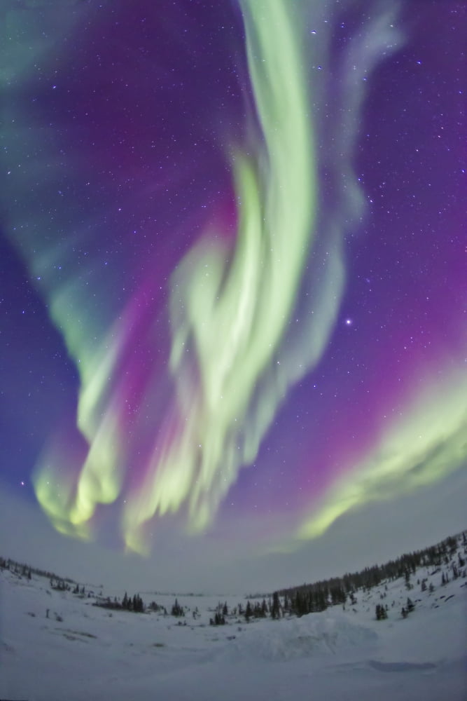 The Northern Lights in Churchill Manitoba Canada Canvas Art - Alan DyerStocktrek Images (12 x 17)