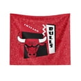 thumbnail image 1 of The Northwest Group Chicago Bulls 34- x 40- Funky Fresh Wall Hanging Tapestry, 1 of 4