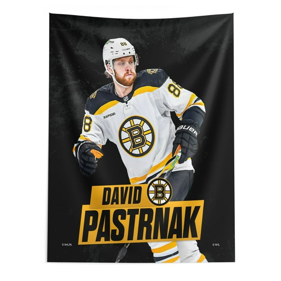 The Northwest Group David Pastrnak Boston Bruins 50" x 60" Player Wall Hanging