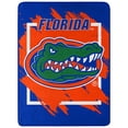 thumbnail image 1 of The Northwest Group  Florida Gators 46" x 60" Dimensional Micro Raschel Plush Throw Blanket, 1 of 5