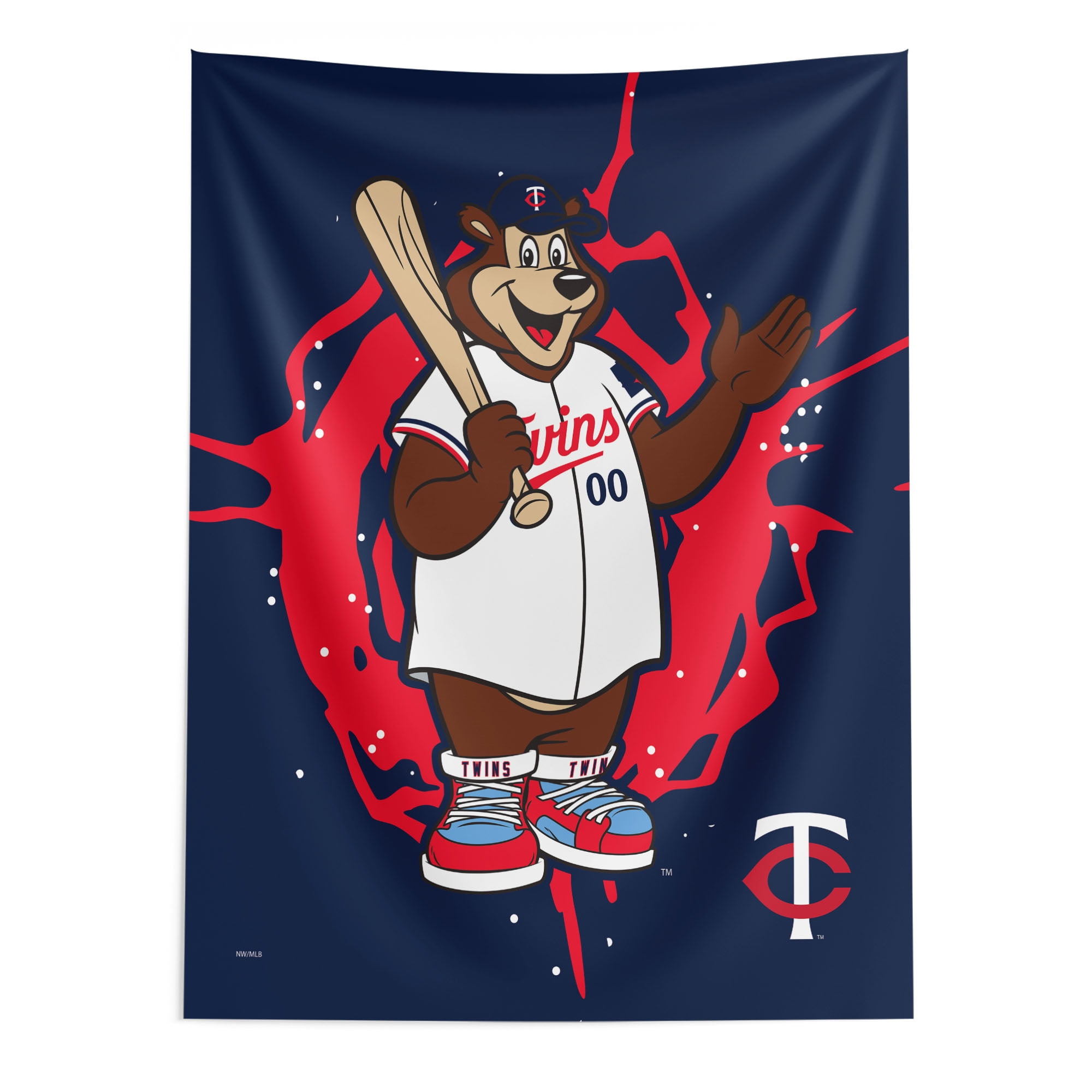 The Northwest Group Minnesota Twins 50" x 60" Mascot Wall Art