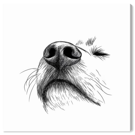 The Nose Knows Canvas Vintage Dog Drawings by Art Remedy, Gallery Wrapped, 12" x 12"