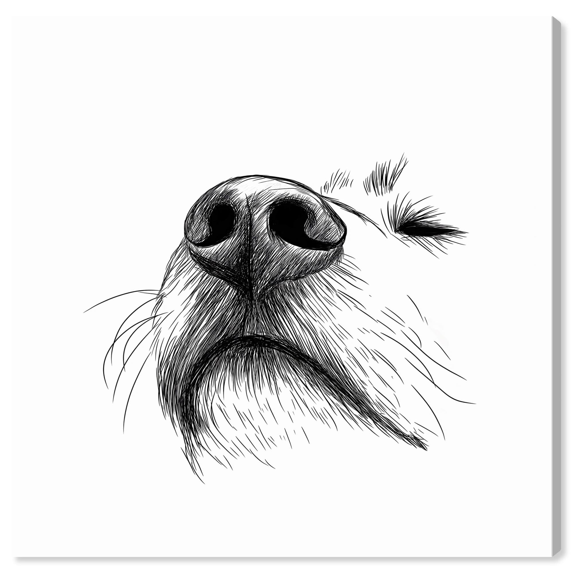 Vintage Dog Drawings Gallery Wrapped Canvas Art, 24" x 24"