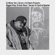 The Notorious B.I.G. - Biggie B-Day / Serato DJ Control Control Special - Vinyl