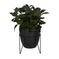 thumbnail image 1 of DecMode 15" Artificial Eucalyptus Plant in Realistic Leaves and Metal Stand and Black Pot, 1 of 8