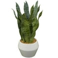 thumbnail image 1 of DecMode 15" Artificial Snake Plant in Realistic Leaves and White Porcelain Pot, 1 of 7
