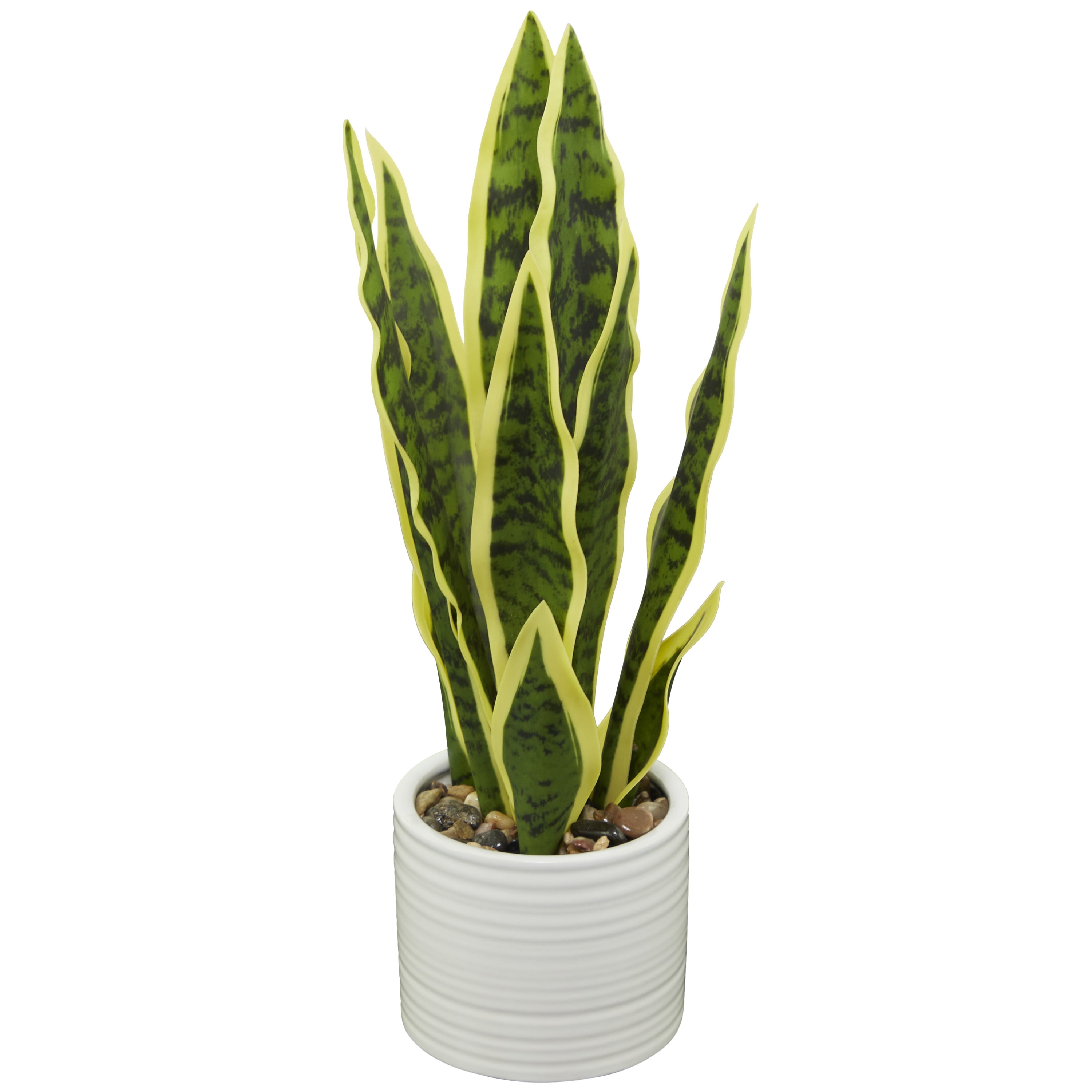 Faux Artificial Snake Plant in Pot Yellow Edged Leaf – RusticReach