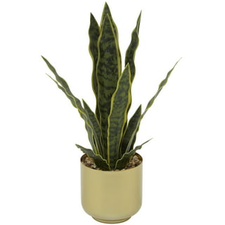 DUZYXI Artificial Snake Plants 16 with White Ceramic Pot Sansevieria Plant  Fake Snake Plant Greenery Faux Snake Plant in Pot for Home Office Living