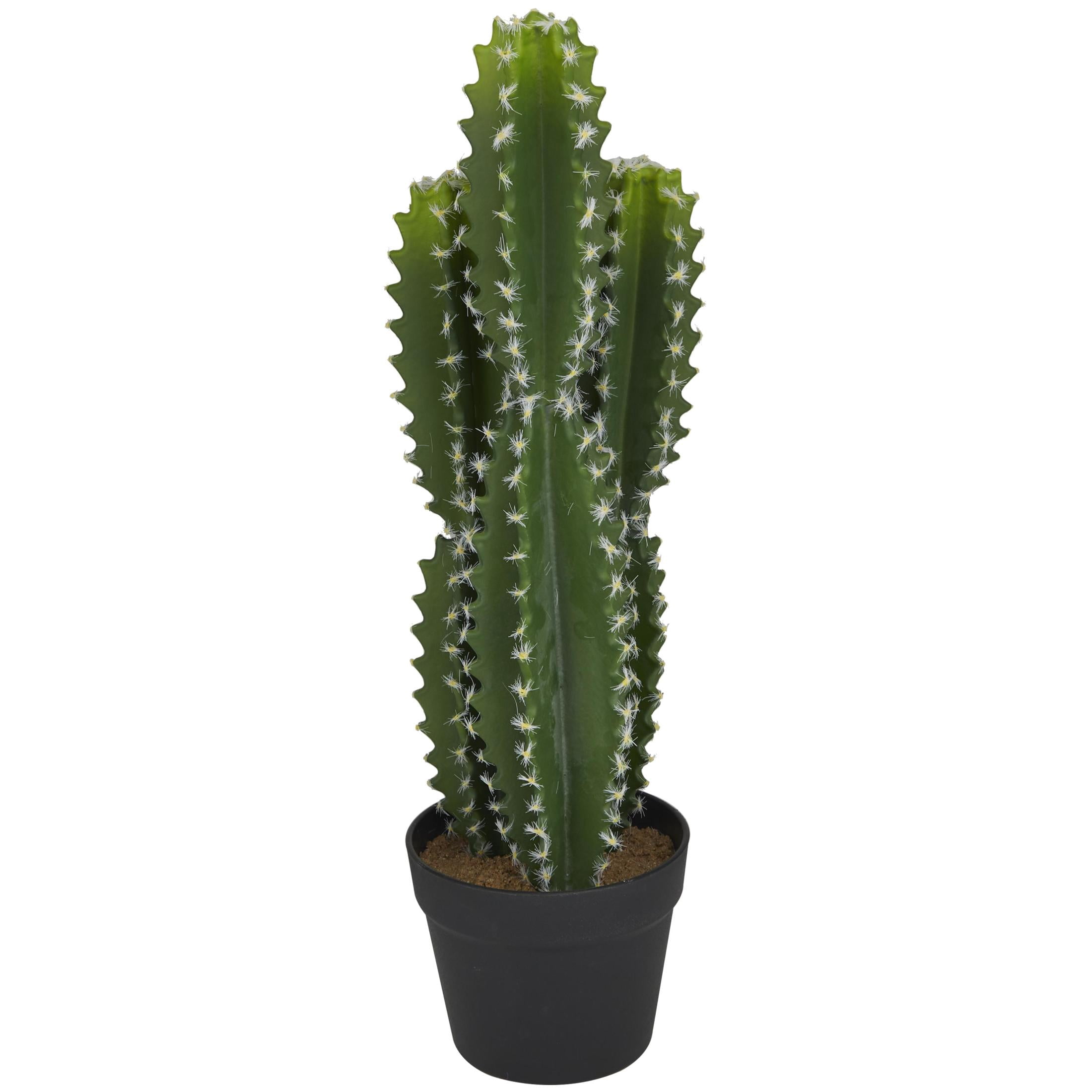 DecMode 23" Artificial Cactus Plant in Realistic Leaves and Black Round Pot