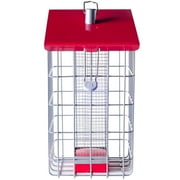 The Nuttery Geohouse Peanut/Sunflower Seed Feeder-8.7"H x 7.1"W x 8.1"D