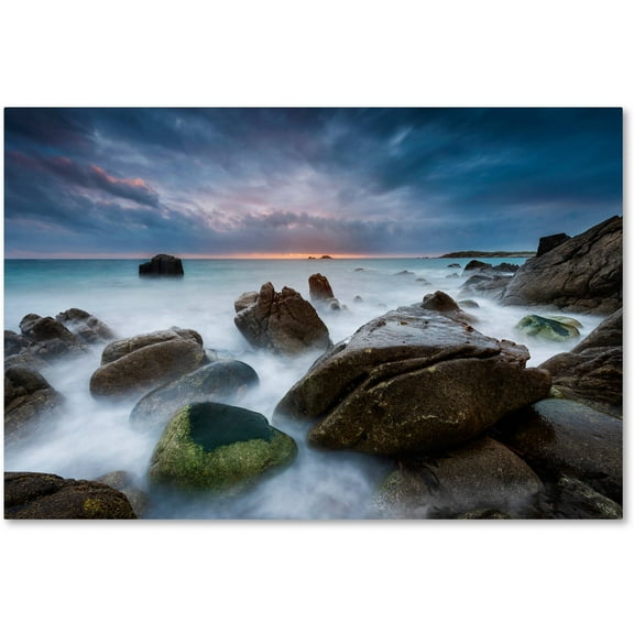 "The Ocean Dream" Canvas Art by Mathieu Rivrin