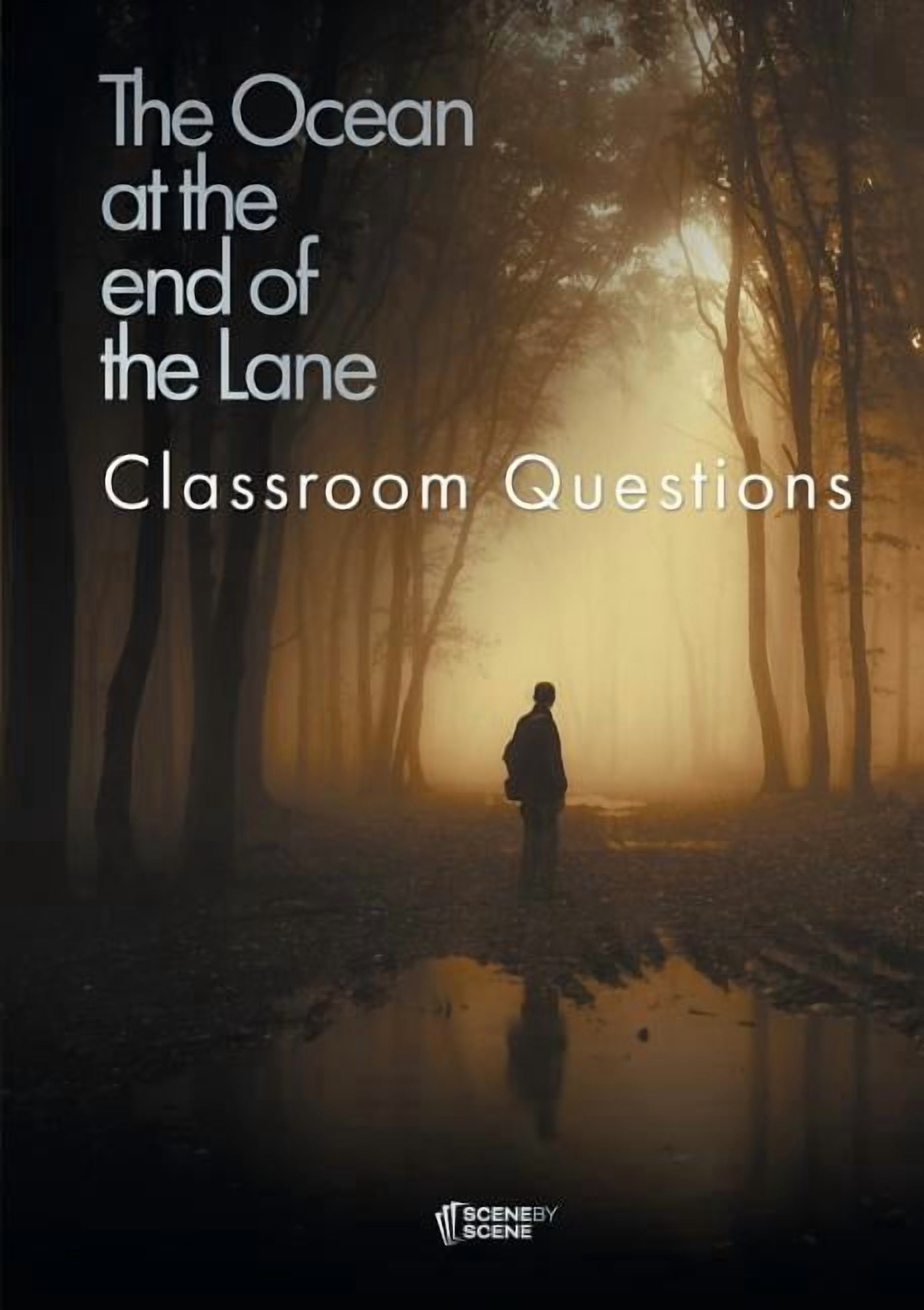 The Ocean at the End of the Lane Classroom Questions, (Paperback ...