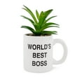 thumbnail image 1 of The Office "World's Best Boss" 3-Inch Ceramic Mini Planter With Artificial Succulent, 1 of 6