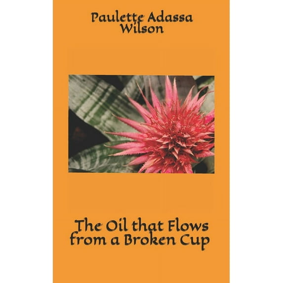 The Oil that Flows from a Broken Cup: Going from Brokenness to Purpose (Paperback)