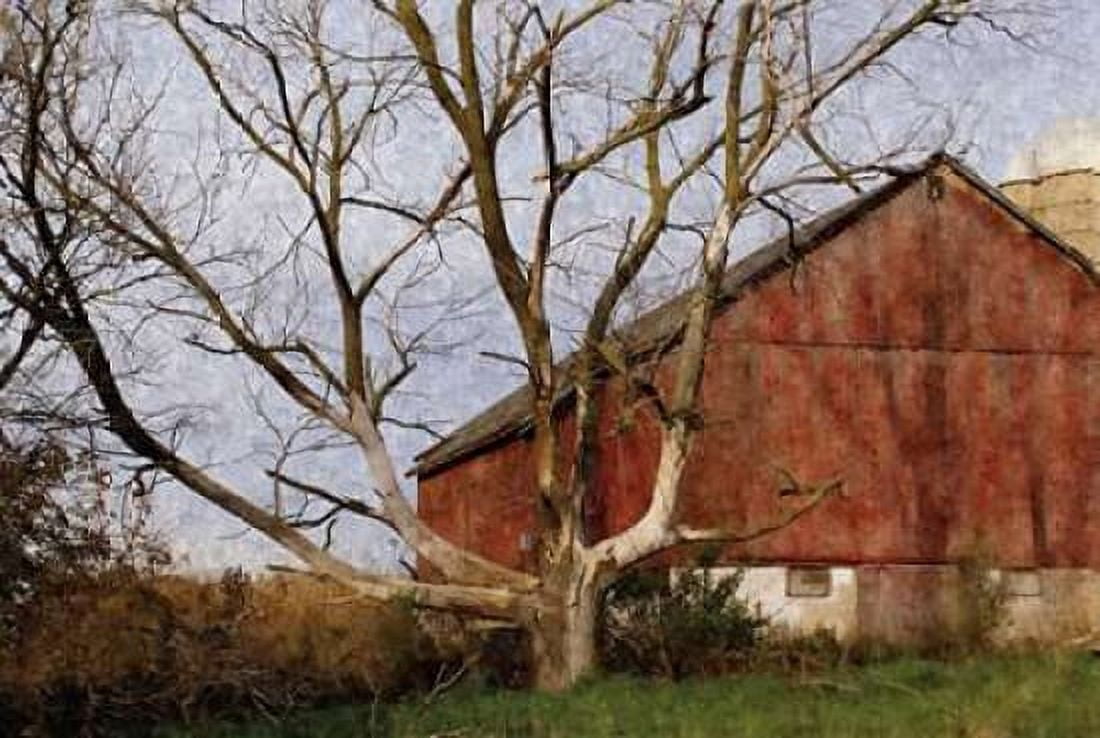 The Old Barn Canvas Art - Denise Romita (12 x 18)