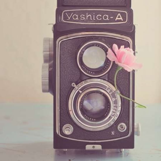 The Old Camera and the Rose Canvas Art - Yvette Inufio (24 x 24)