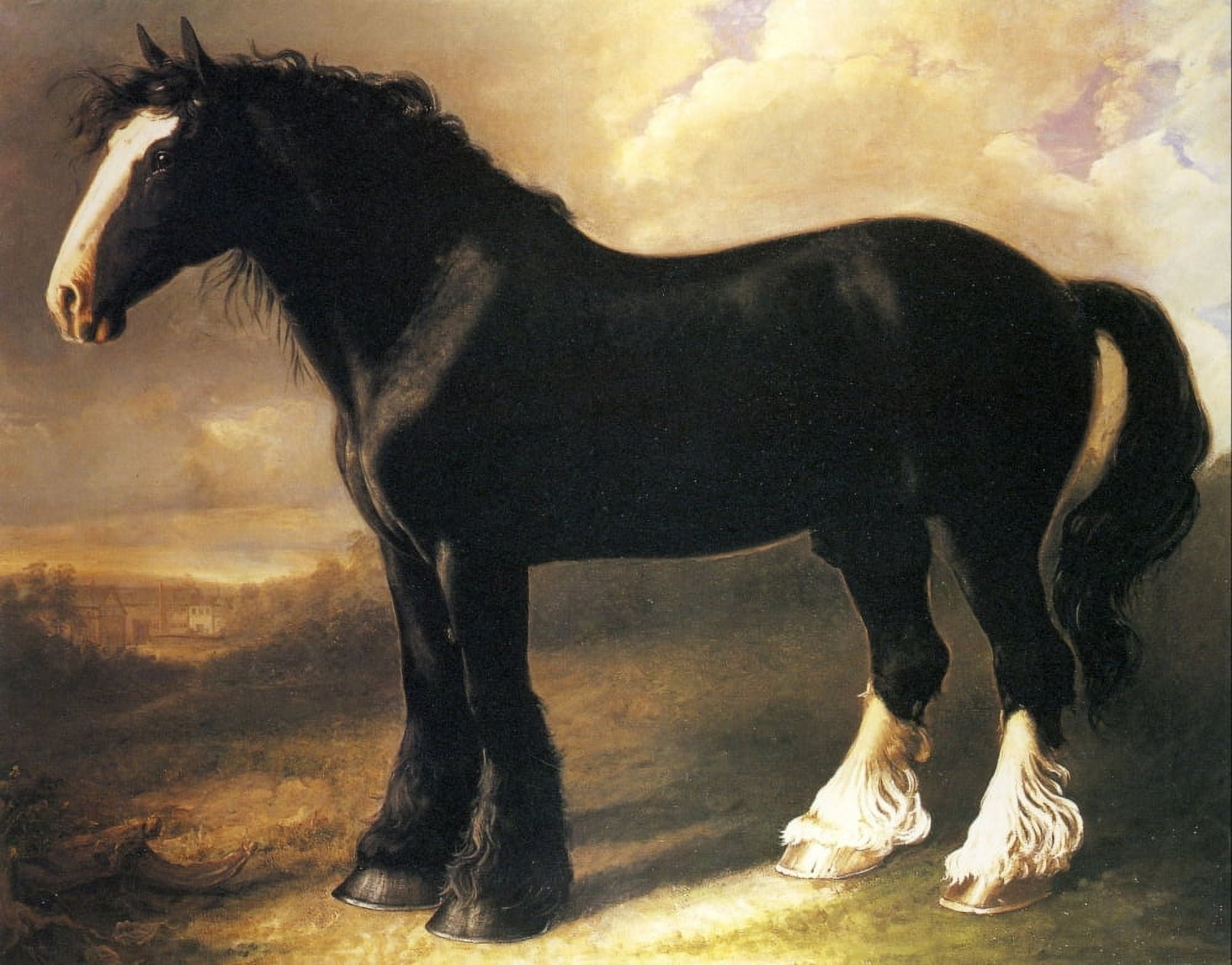The Old English Black Horse c1840 Canvas Art - William Shiels (24 x 36)