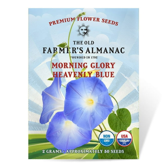 The Old Farmer's Almanac Heavenly Blue Morning Glory Seeds - Premium Non-GMO, Open Pollinated, USA Origin, Flower Seeds - 2 Grams