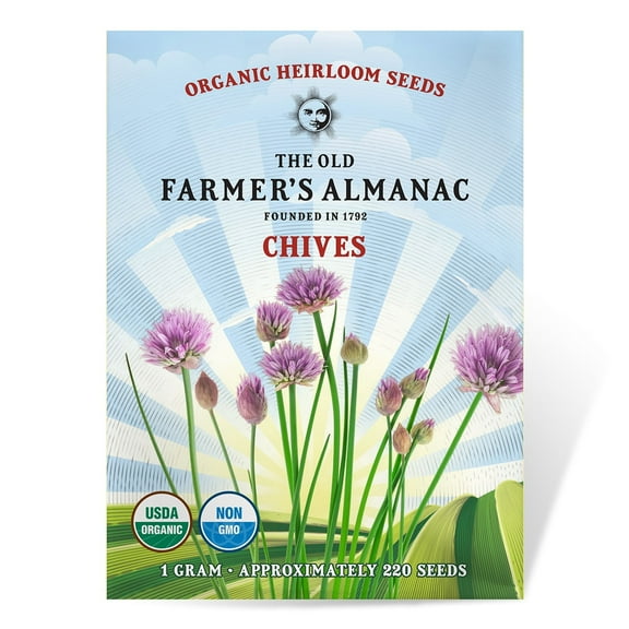 The Old Farmer's Almanac Heirloom Chive Seeds - Premium Non-GMO, Open Pollinated, USA Origin, Herb Seeds - 1 Gram