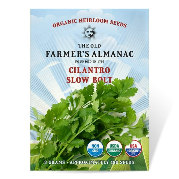 The Old Farmer's Almanac Heirloom Slow Bolt Cilantro Seeds - Premium Non-GMO, Open Pollinated, USA Origin, Herb Seeds - 3 Grams