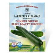 The Old Farmer's Almanac Heirloom Summer Squash Seeds (Black Beauty Zucchini) - Approx 60 Seeds