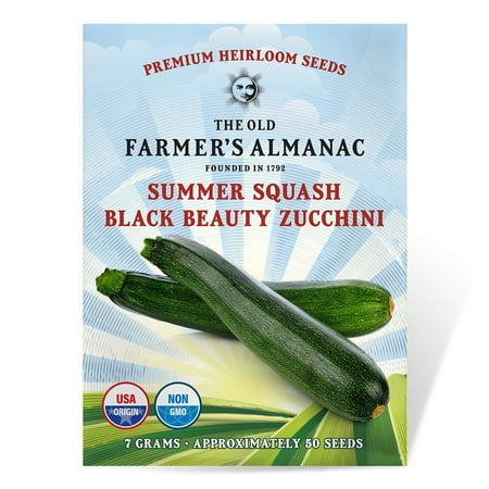 The Old Farmer's Almanac Heirloom Summer Squash Seeds (Black Beauty Zucchini) - Approx 60 Seeds