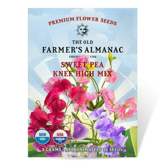 The Old Farmer's Almanac Knee High Mix Sweet Pea Seeds - Premium Non-GMO, Open Pollinated, USA Origin, Flower Seeds - 3 Grams