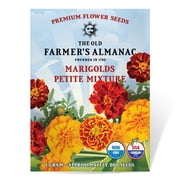 The Old Farmer's Almanac Petite Mixture Marigold Seeds - Premium Non-GMO, Open Pollinated, USA Origin, Flower Seeds - 1 Gram