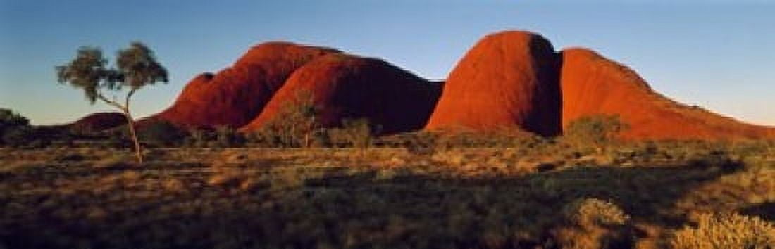 The Olgas N Territory Australia Canvas Art - Panoramic Images (18 x 6)