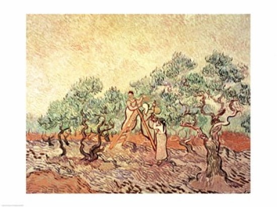 The Olive Grove 1889 Canvas Art - Vincent Van Gogh (24 x 18)