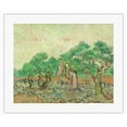 thumbnail image 1 of The Olive Orchard - Saint-Rémy-de-Provence France - From an Original Color Painting by Vincent Van Gogh c.1889 - Fine Art Rolled Canvas Print 16in x 20in, 1 of 4